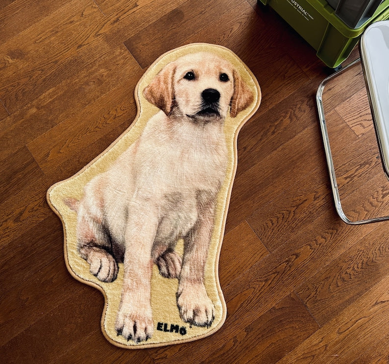 Custom Pet Portrait Rug, Custom Pet Shaped Rug, Custom Pet Rug for Cat