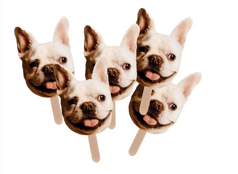 Custom Pet Face Stick, Dog Face Stick, Cat Face Stick, Face On a Stick Bachelorette Prop Sticks