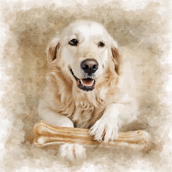 Custom Watercolor Pet Portrait On Premium Canvas