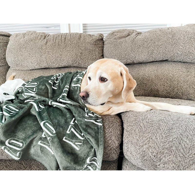 Personalized Blanket for Dog, Dog Blanket, Plush Dog Name Blanket