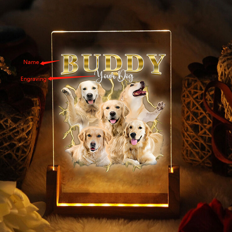 Vintage Personalized Pet Picture Night Light  Pet Memorial LED Night Light, Pet Loss Gift