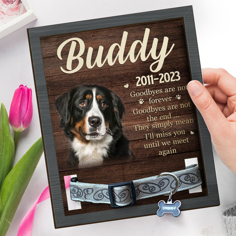 I'll Miss You Until We Meet Again Personalized Pet Collar Photo Frame