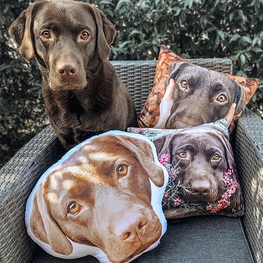 Custom Dog Face Pillow, Custom Shaped Pillow, Photo Pillow Personalized Cat Dog Cushion