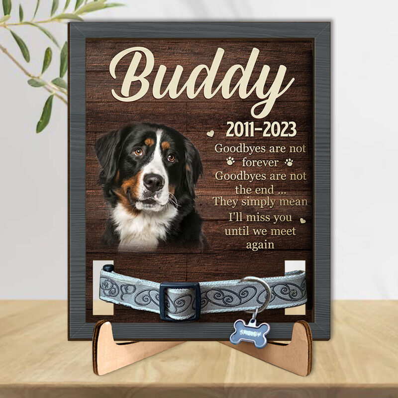 I'll Miss You Until We Meet Again Personalized Pet Collar Photo Frame