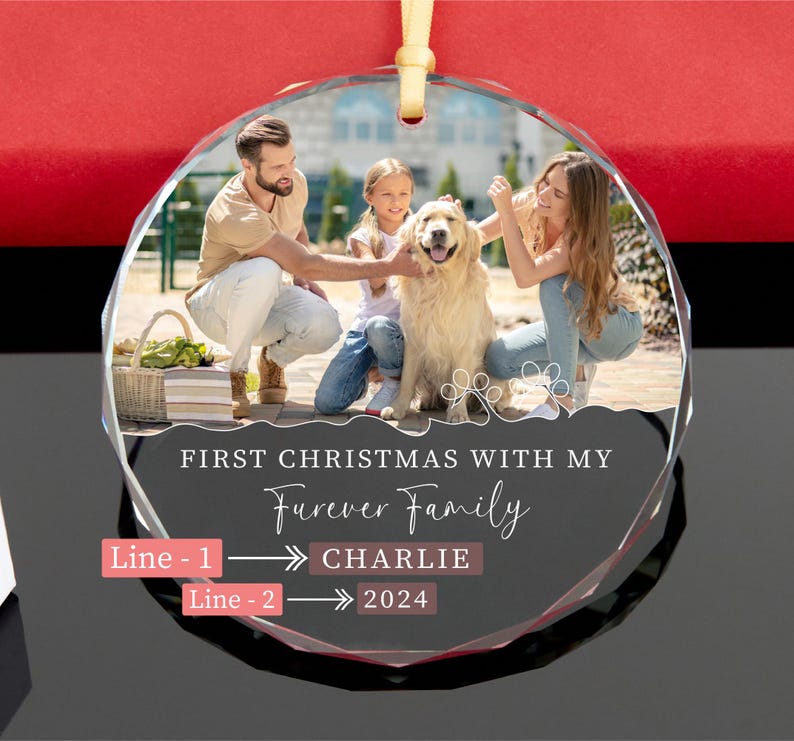 First Christmas with Dog Ornament Personalized Christmas Gift for Pet Lovers