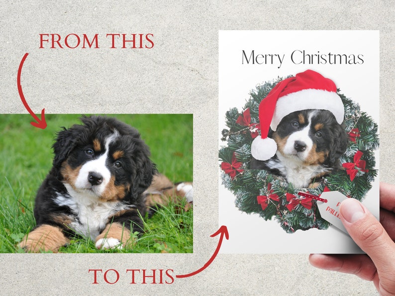 Personalized Dog Christmas Card, Pet Holiday Card, Pet Portrait Christmas Cards