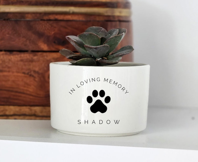 Personalized Pet Memorial Gift, Custom Flower Pot with Name, Loss of Pet, Personalized Succulent Planter