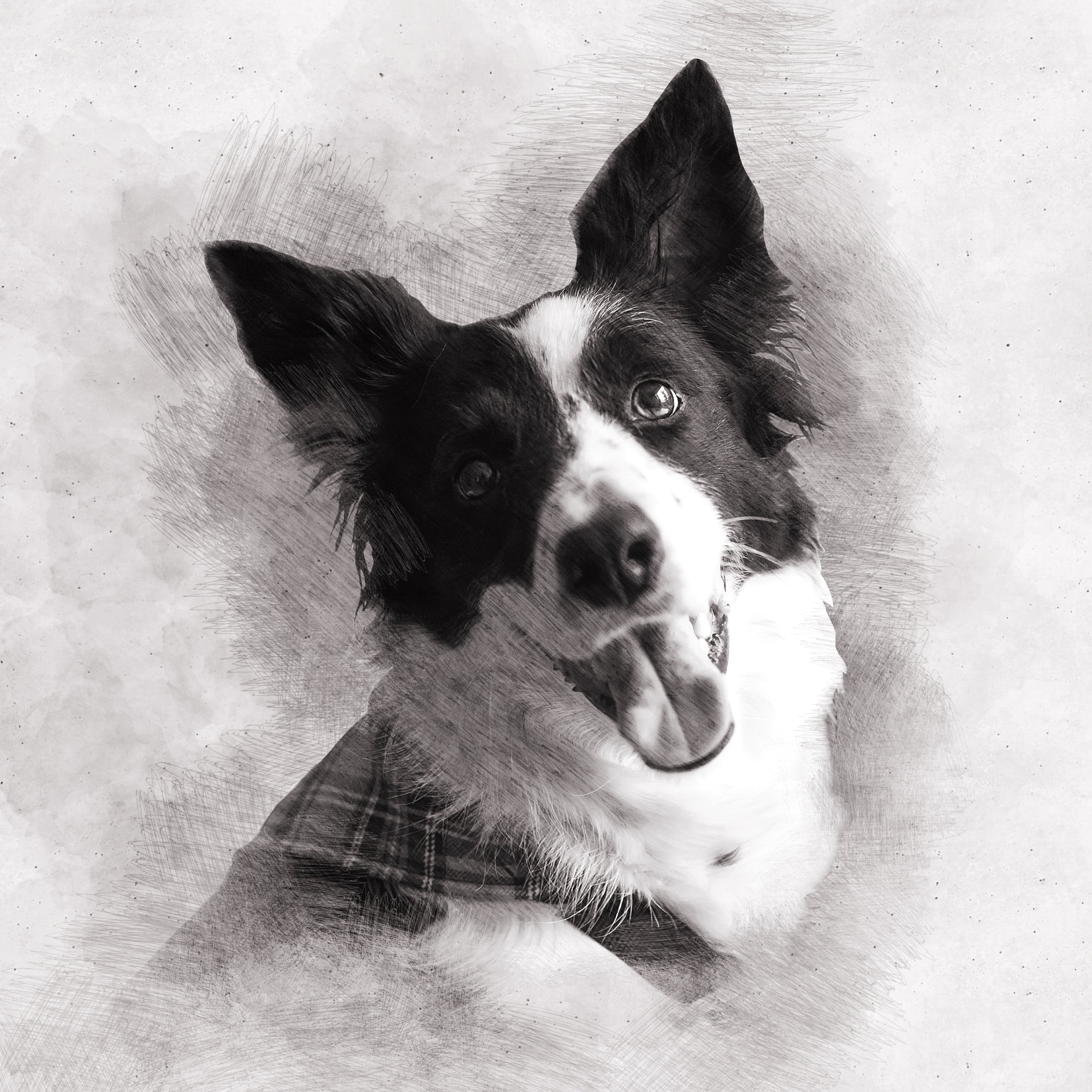 Custom Pencil Sketch Pet Portrait from Photo Canvas