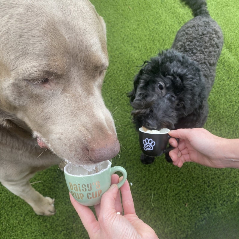 Pup Cup With Name On Cup for Dog Mom Gift Personalized for Dog Mini Cup for Treat