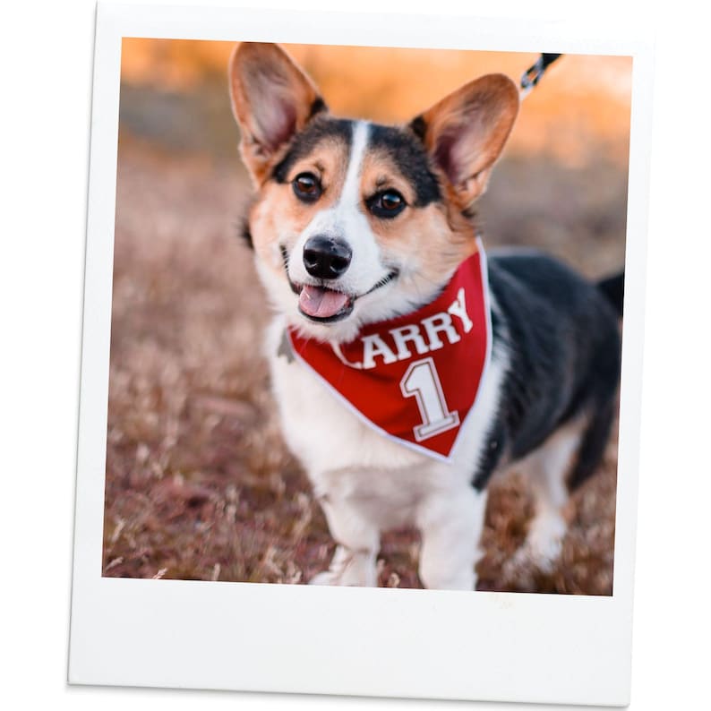 Custom Football Dog Bandana, Dog Jersey, Soccer Dog Bandana