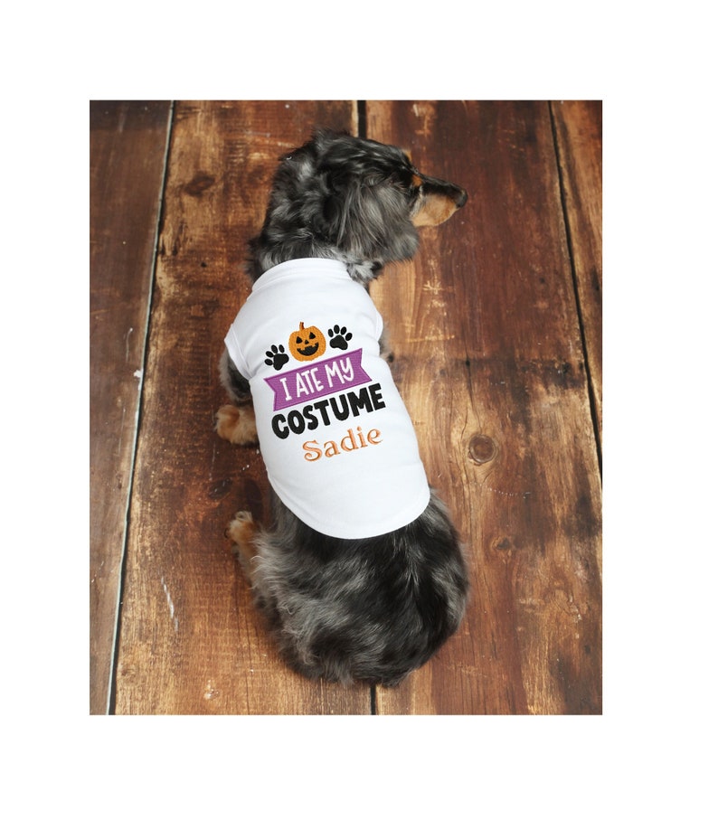 Trick or Treat Custom Dog Halloween Costume, Custom Pet Name Embroidered Shirt