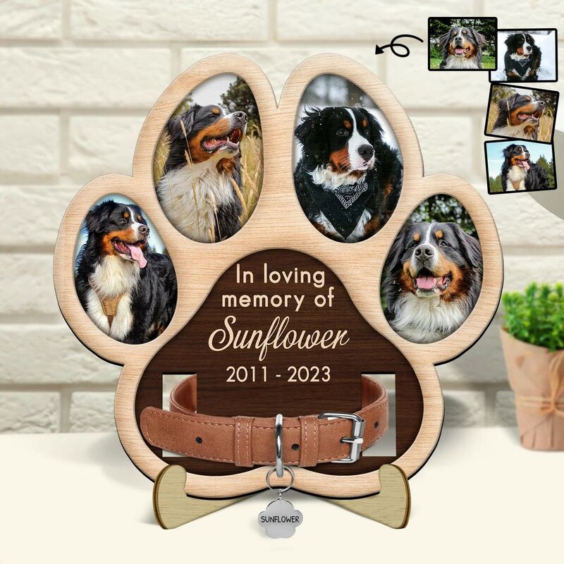 Personalized Pet Collar Frame Custom Photo Memorial Gift For Pet Lovers