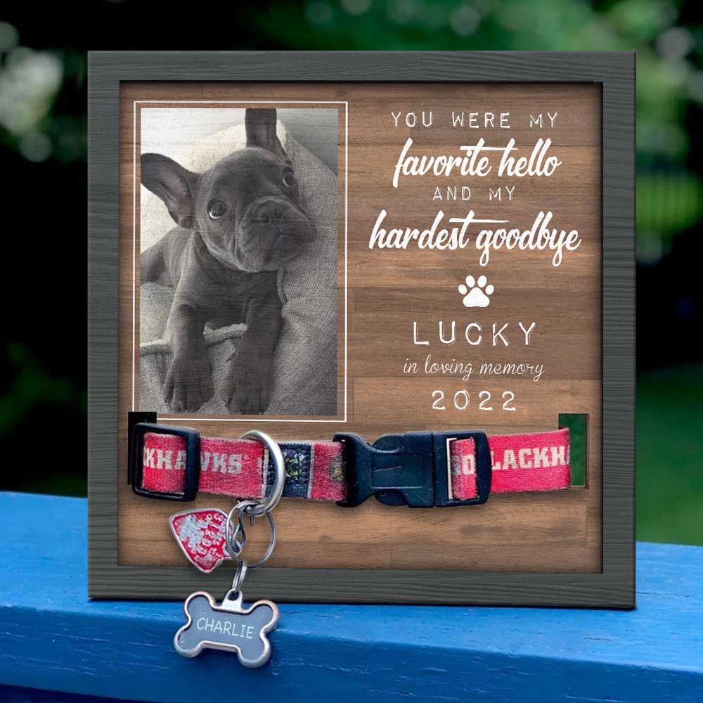 You Were My Favorite Hello And My Hardest Goodbye Personalized Pet Collar Frame