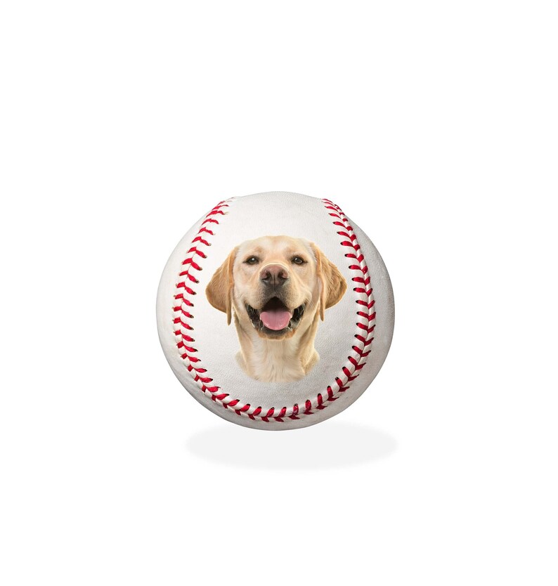 Custom Your Dog's Face On A Baseball, Gift For Dog Lovers, Pet Memorial Gift