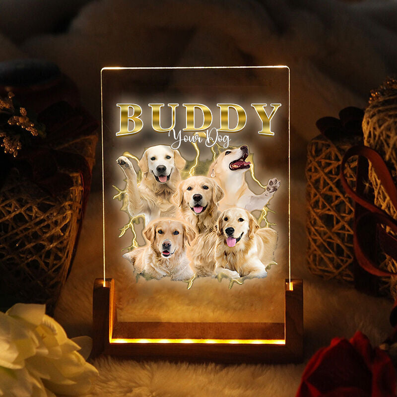 Vintage Personalized Pet Picture Night Light  Pet Memorial LED Night Light, Pet Loss Gift