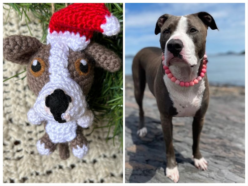 Custom Crochet Dog Christmas Ornament With Santa Hat, Custom Pet Memorial Plush