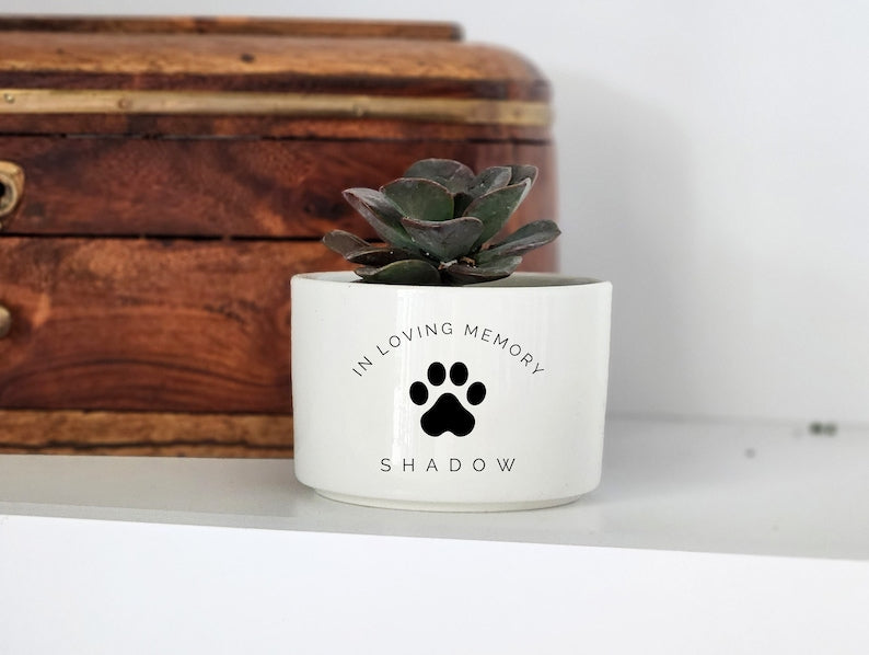 Personalized Pet Memorial Gift, Custom Flower Pot with Name, Loss of Pet, Personalized Succulent Planter