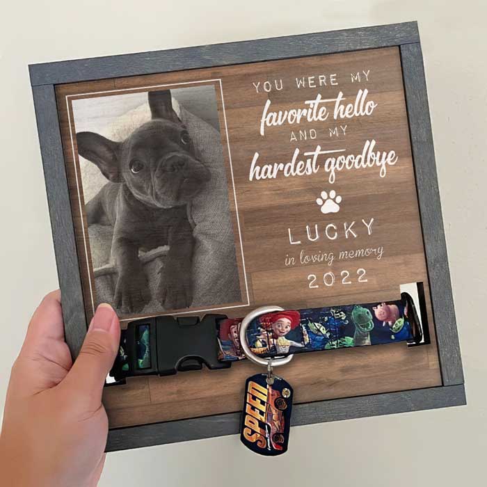 You Were My Favorite Hello And My Hardest Goodbye Personalized Pet Collar Frame